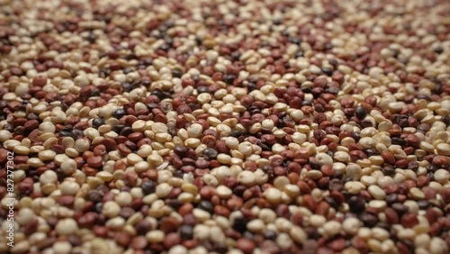 Multi-colored raw quinoa seeds. Clouse-up.