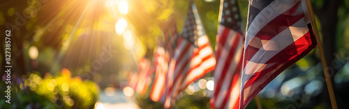  an impressive image featuring a display of American flags in h American flags with blurred sun rising background flag displonor