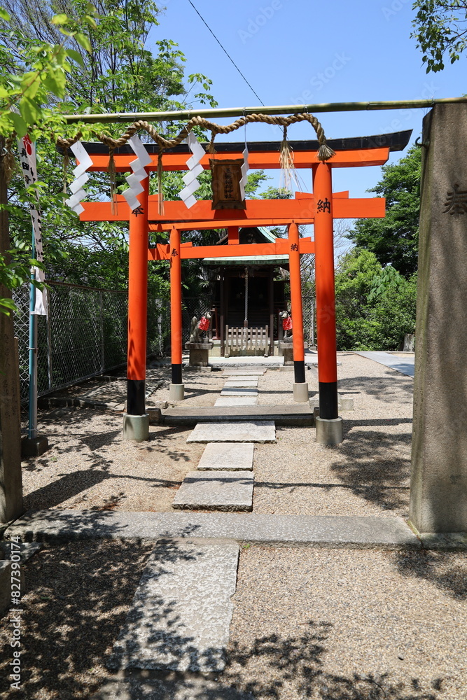 A Japanese shrine : a scene of the precincts of Yasui-jinjya Shrine in Osaka City A Japanese shrine : a scene of the precincts of Yasui-jinjya Shrine in Osaka City