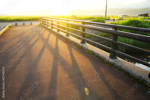 橋の欄干に差し込む朝日 photo