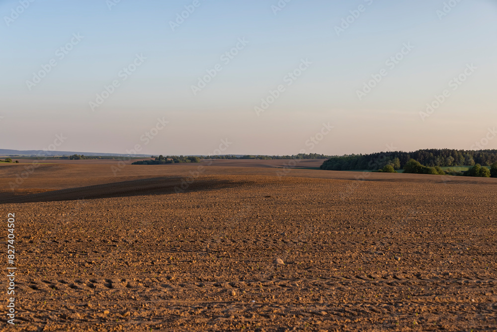 an agricultural field with corn during sunset an agricultural field with corn during sunset