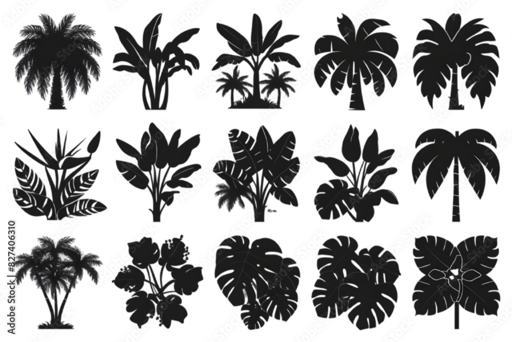 Vector Silhouettes of Tropical Plant Species: A Detailed Series Showcasing Exotic Foliage in Various Shapes and Sizes, Isolated on White