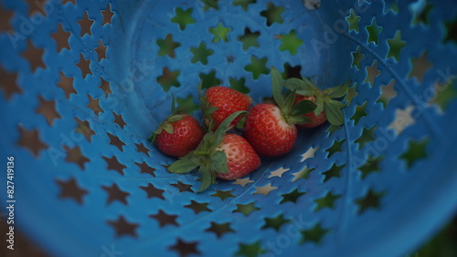 some strawberries have been picked in the basket