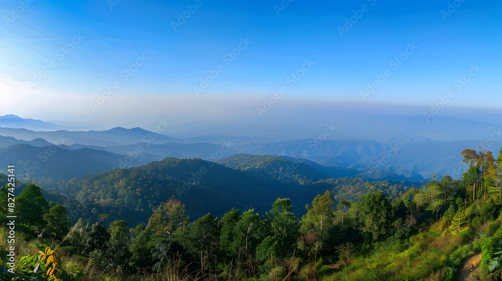 Thailand mountain landscape with morning fog shot at Doi Inthano Thailand mountain landscape with morning fog shot at Doi Inthano