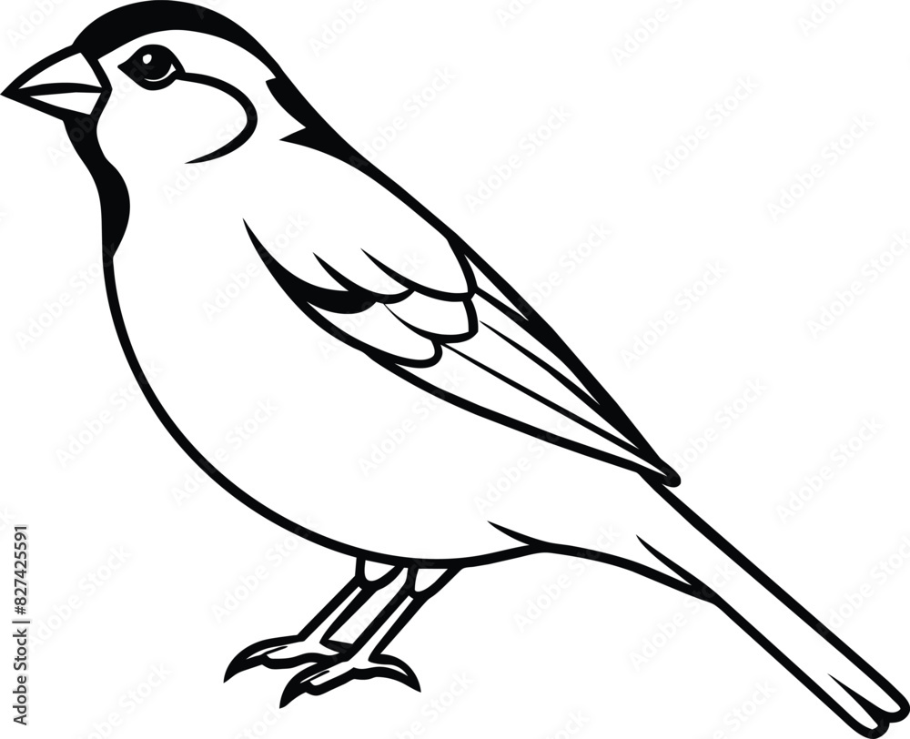 Obraz premium Sparrow silhouette vector illustration.