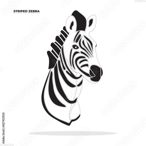 zebra,striped zebra,the head of zebra,animal,body of zebra