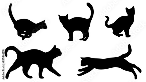 Cats' silhouettes, set of cats