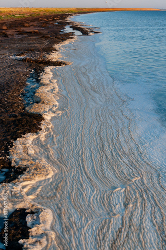 Wavy Dirty foam driven by the wind to the shore of the Tuzlovsky estuary photo