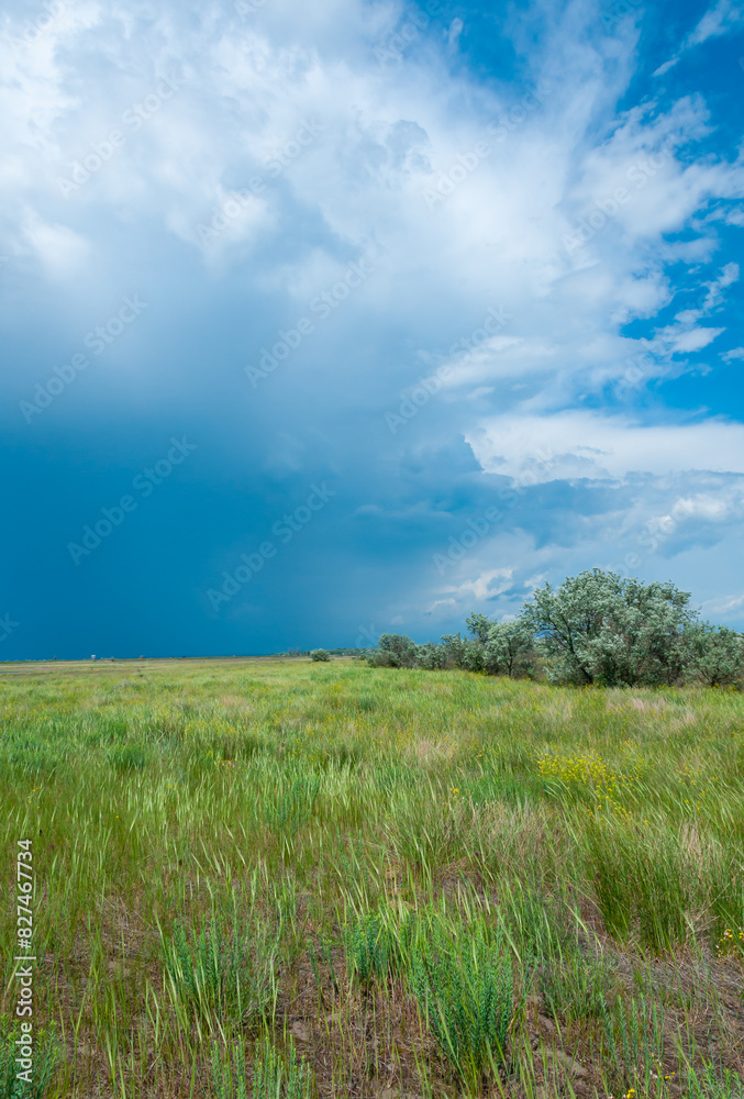 White clouds over the Blooming Steppe near the Tiligul estuary, Ukraine White clouds over the Blooming Steppe near the Tiligul estuary, Ukraine