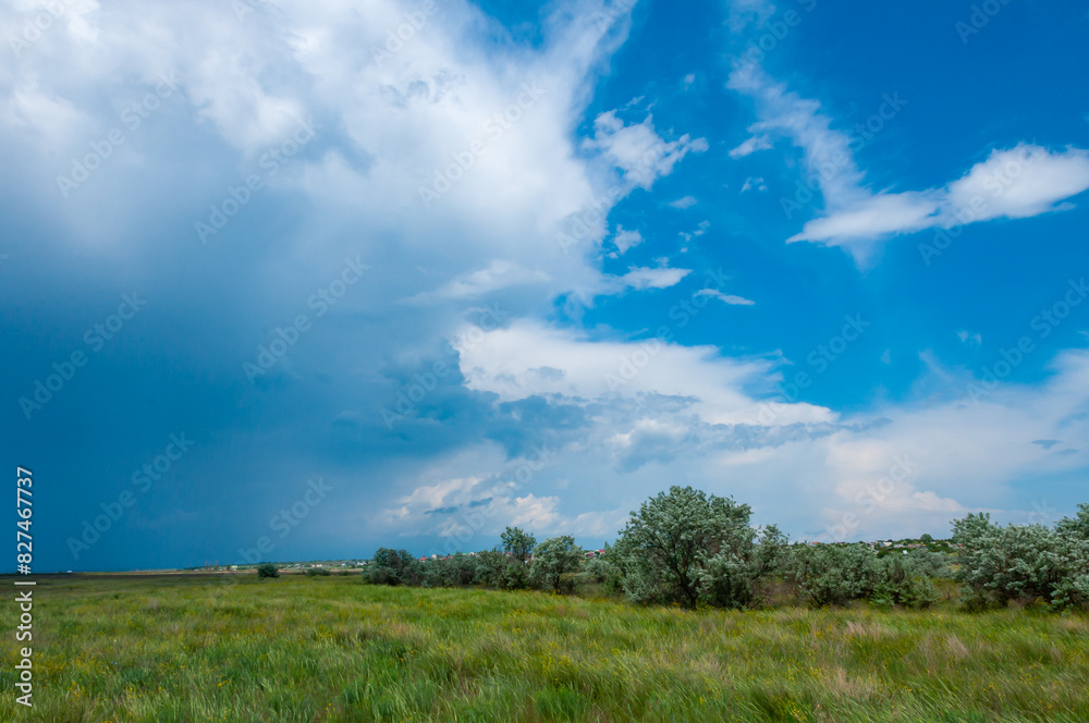 White clouds over the Blooming Steppe near the Tiligul estuary, Ukraine White clouds over the Blooming Steppe near the Tiligul estuary, Ukraine