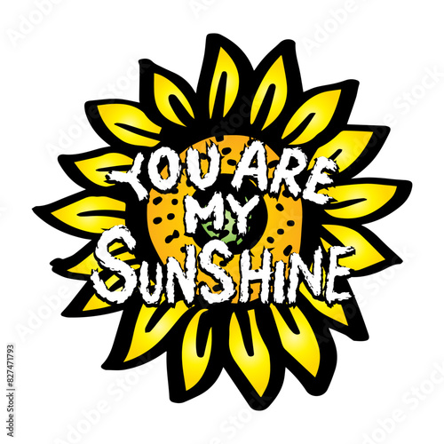 You are my sunshine. Hand drawn lettering quote. Vector illustration.