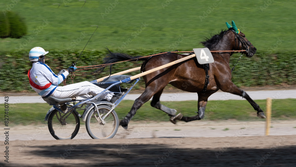 Racing horses trots and rider on a track of stadium. Competitions for trotting horse racing. Horses compete in harness racing. Horse runing at the track with rider.
Racing horses trots and rider on a track of stadium. Competitions for trotting horse racing. Horses compete in harness racing. Horse runing at the track with rider.