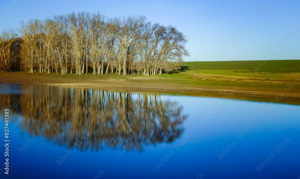 Obraz premium Scenic view, Reflection of trees in the calm water of a small lake