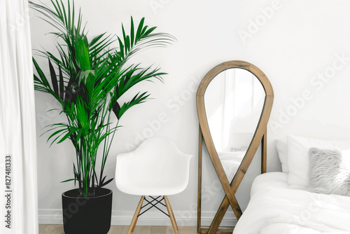 A large plant sits next to a white chair in a bedroom