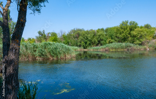 The bed of a slowly flowing river among granite banks overgrown with picturesque vegetation, Ukraine