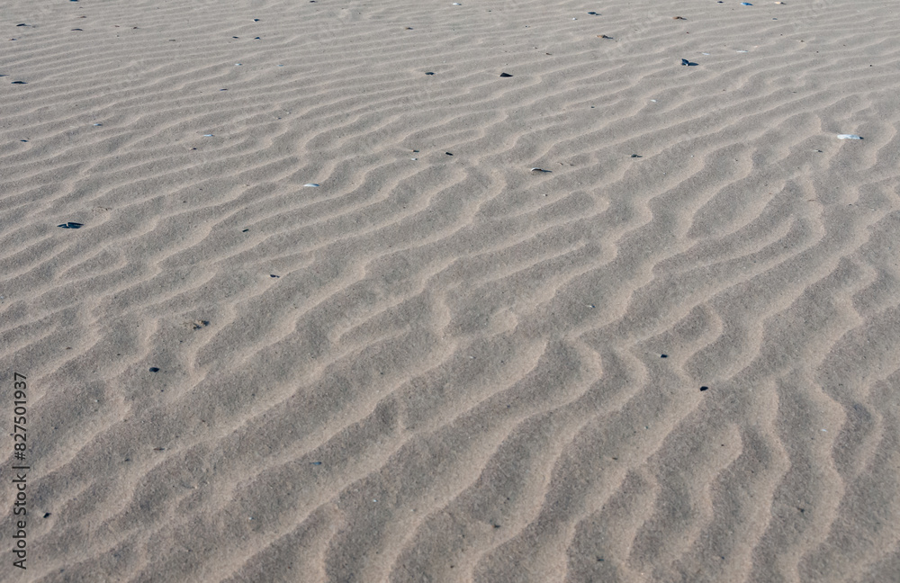 Beautiful waves of sand formed by the wind on the banks of the Tiligul estuary, Odessa region