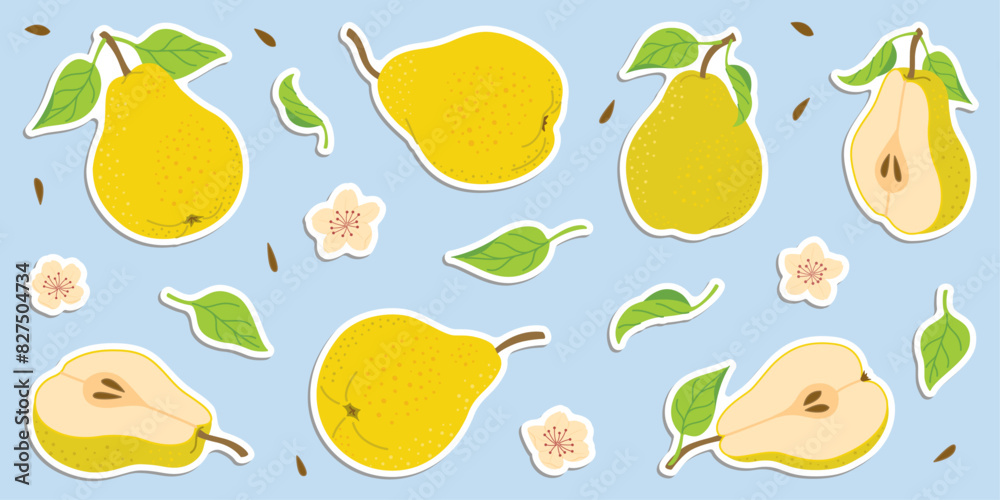 Hand drawn colorful pear stickers set, whole and cut fruit, flowers, leaves. Trendy flat style stickers for labels, posters, web. Ripe juicy pears. Vegetarian organic food. Vector illustration Hand drawn colorful pear stickers set, whole and cut fruit, flowers, leaves. Trendy flat style stickers for labels, posters, web. Ripe juicy pears. Vegetarian organic food. Vector illustration