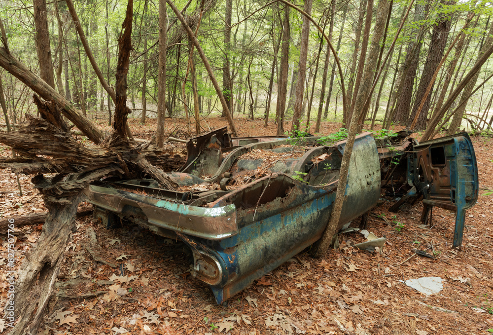 Rusting automobile trashing up a forest Rusting automobile trashing up a forest