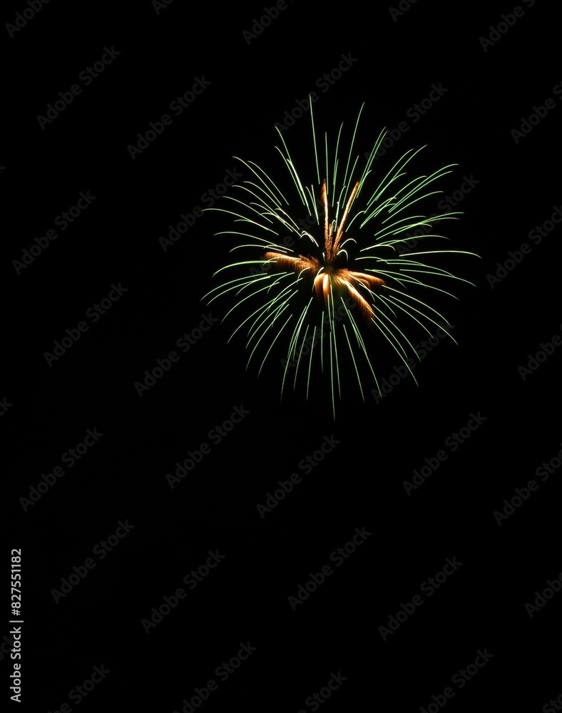 打上げ花火 打上げ花火