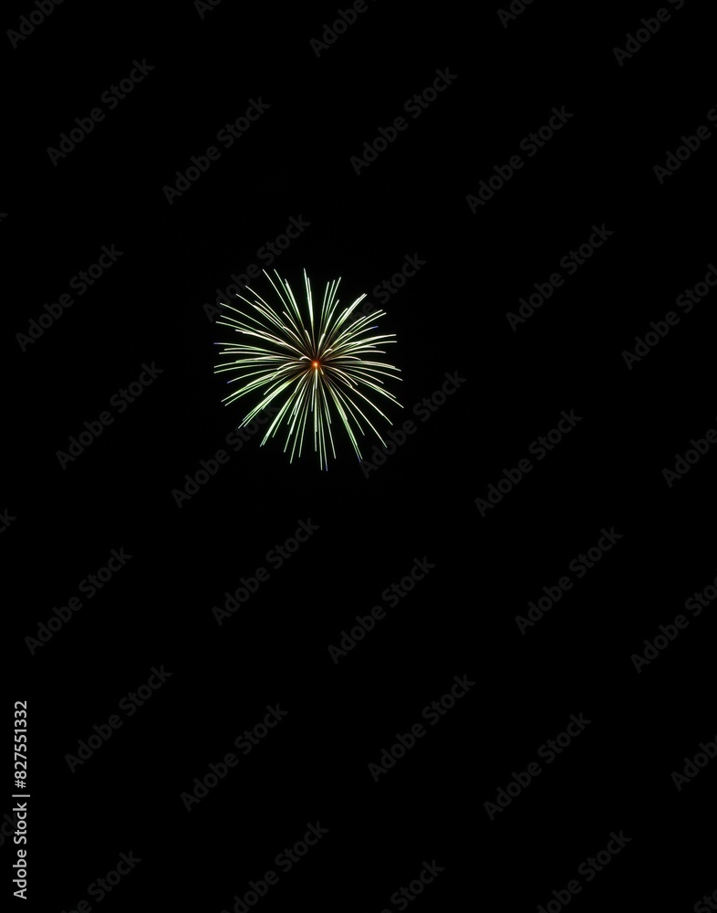 打上げ花火 打上げ花火