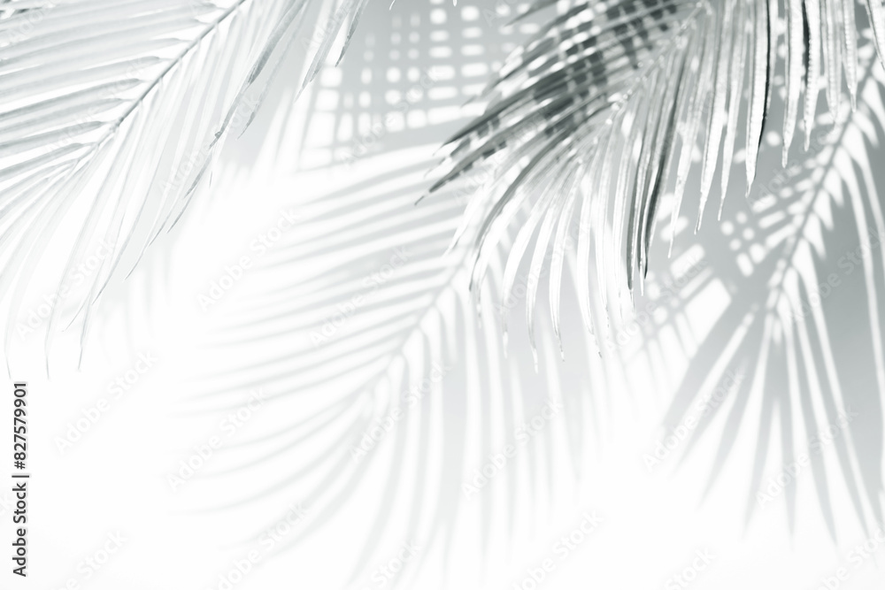 Fototapeta premium Abstract blur of tropical leaves pattern background.luxury palm leaf design with shadow.nature concepts