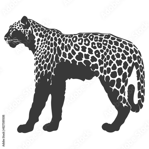 Silhouette Leopard animal full body black color only