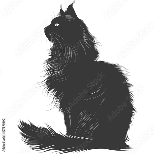 Silhouette long hair cat animal full body black color only