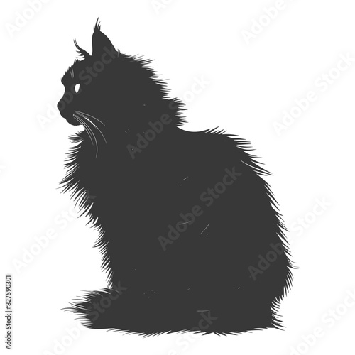 Silhouette long hair cat animal full body black color only