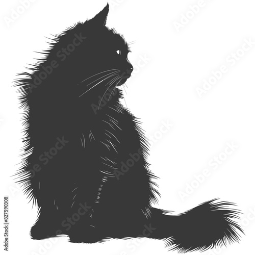 Silhouette long hair cat animal full body black color only