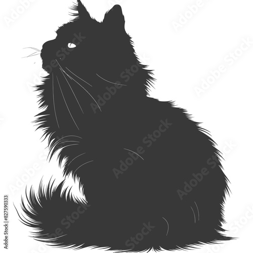 Silhouette long hair cat animal full body black color only