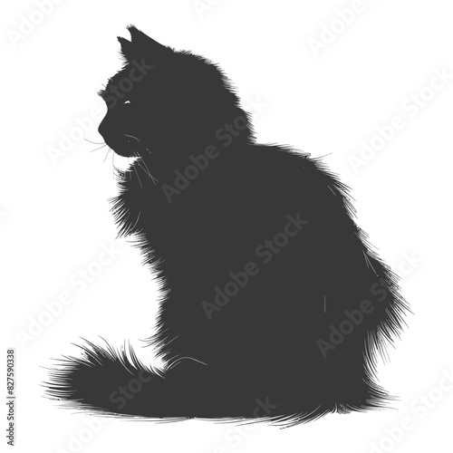 Silhouette long hair cat animal full body black color only