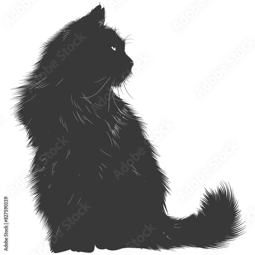 Silhouette long hair cat animal full body black color only photo