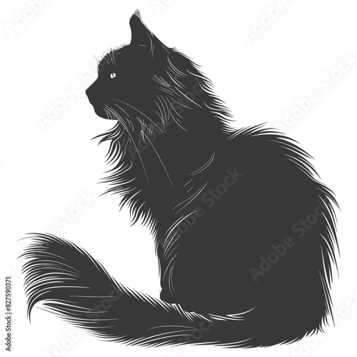 Silhouette long hair cat animal full body black color only
