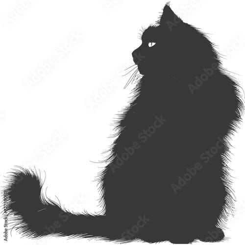 Silhouette long hair cat animal full body black color only