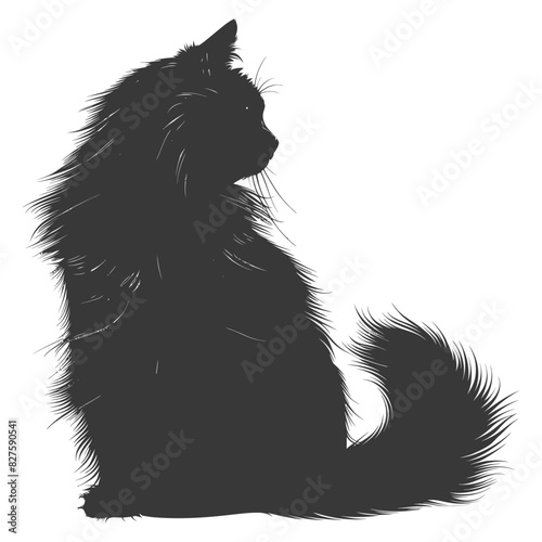 Silhouette long hair cat animal full body black color only