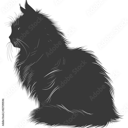 Silhouette long hair cat animal full body black color only