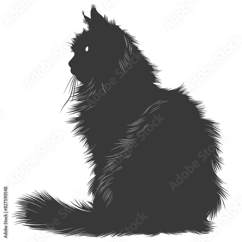 Silhouette long hair cat animal full body black color only