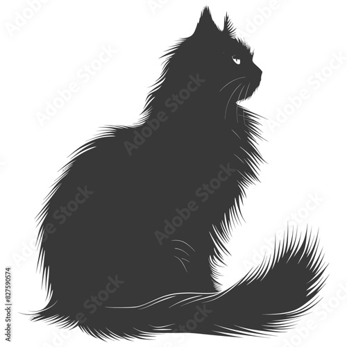 Silhouette long hair cat animal full body black color only