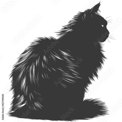 Silhouette long hair cat animal full body black color only