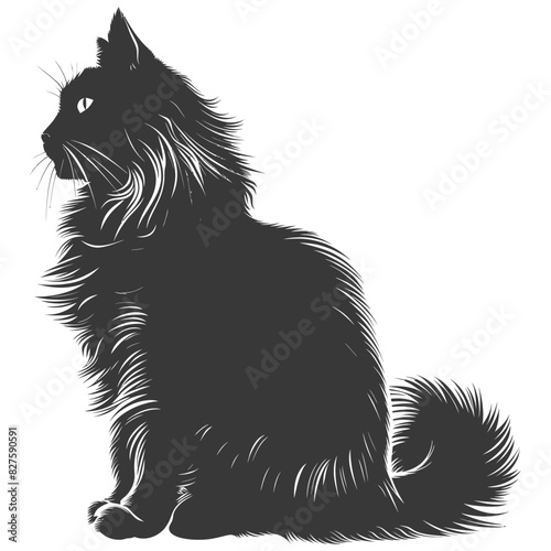 Silhouette long hair cat animal full body black color only