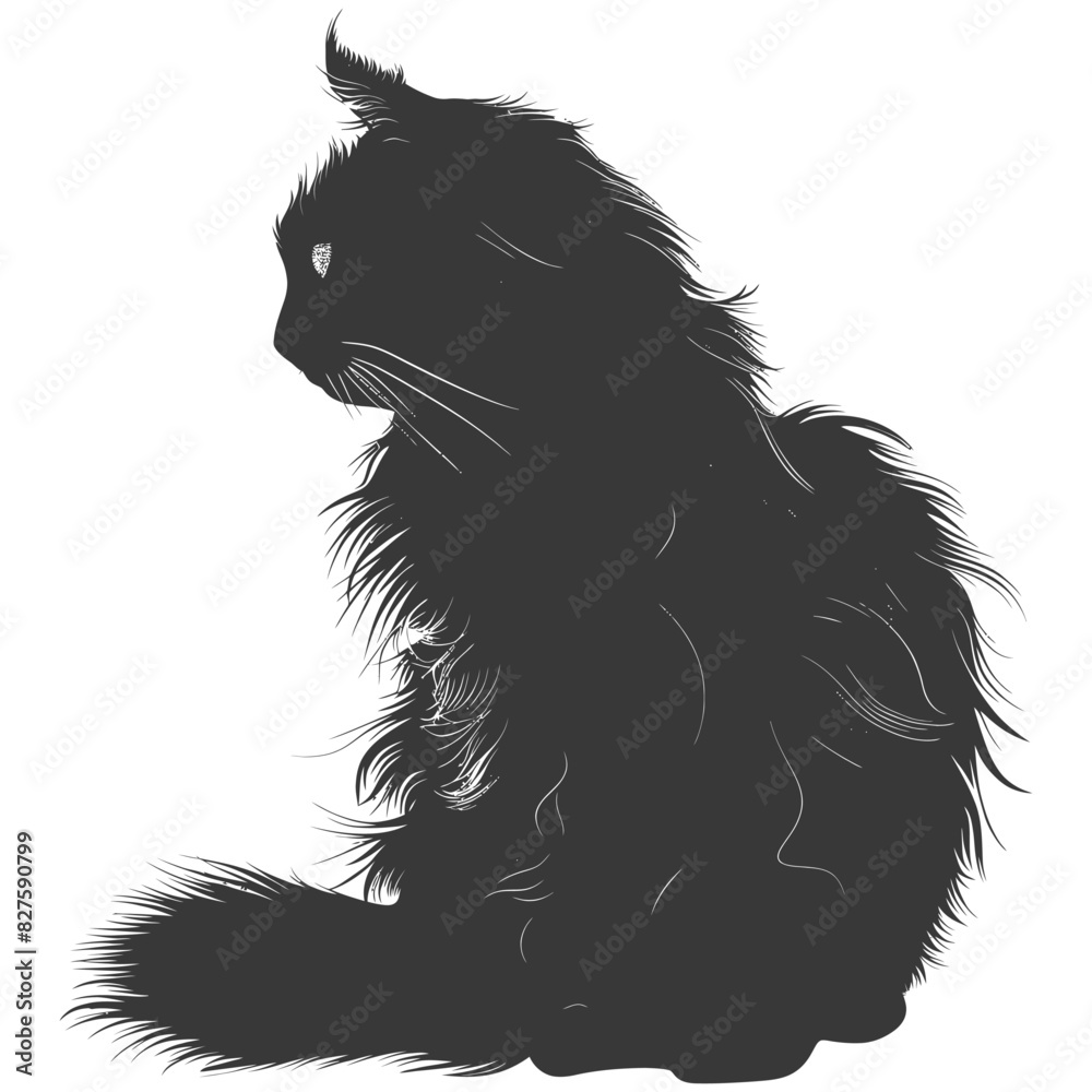 Silhouette long hair cat animal full body black color only Silhouette long hair cat animal full body black color only