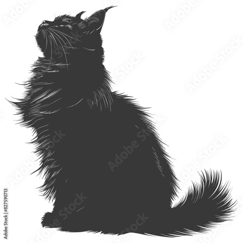 Silhouette long hair cat animal full body black color only