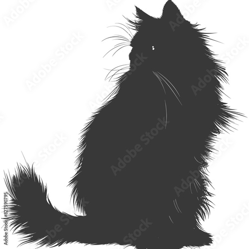 Silhouette long hair cat animal full body black color only