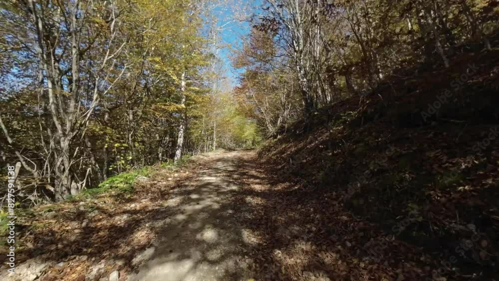 POV point of view driving in car vehicle on dirt gravel mountain road through colorful autumn tree forest, 4k POV point of view driving in car vehicle on dirt gravel mountain road through colorful autumn tree forest, 4k