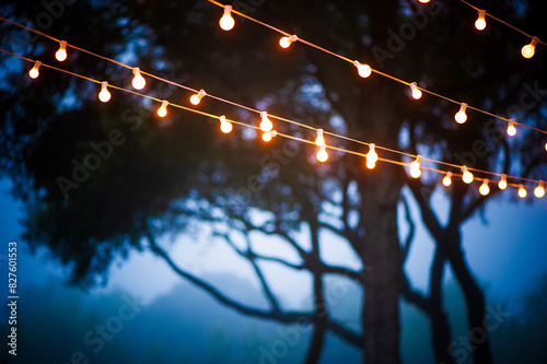 Bare bulb string lights in front of silhouetted trees and foggy blue evening skies at a wedding venue photo