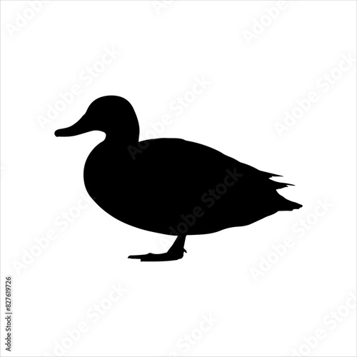 Gadwall duck silhouette isolated on white background. Duck icon vector illustration design.