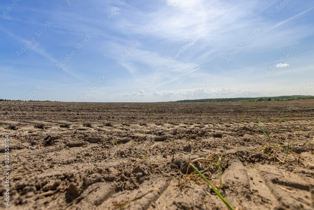 plowed soil field with traces of cars and tractors plowed soil field with traces of cars and tractors