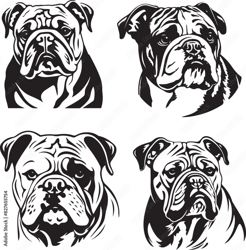 English Bulldog Pet Face Vector Set English Bulldog Pet Face Vector Set