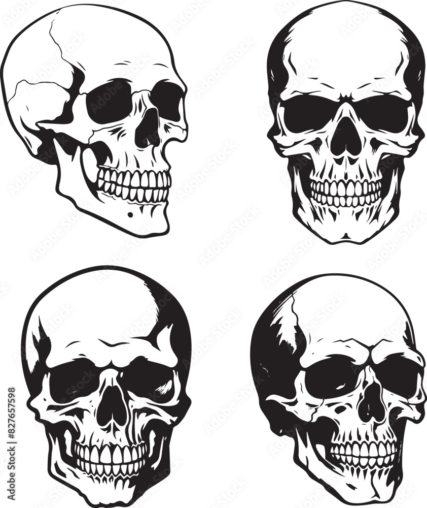 Fototapeta premium Skeleton Skull Vector Set