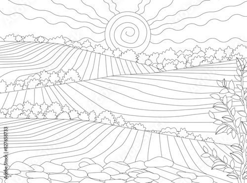 coloring book page for adults and children. sunrise over rural l